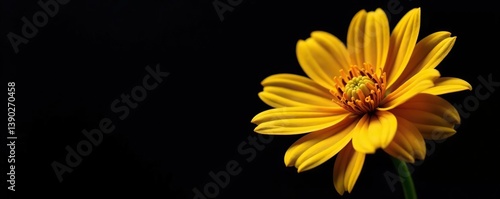 Macro shot of a shimmering yellow metal flower against a dark black background,  shot,  metallic