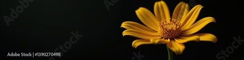 Macro shot of a vibrant yellow metal flower against a dark black background,  detail,  modern