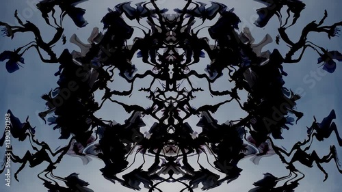 花びらの万華鏡をイメージした
水墨画モーショングラフィックス　背景