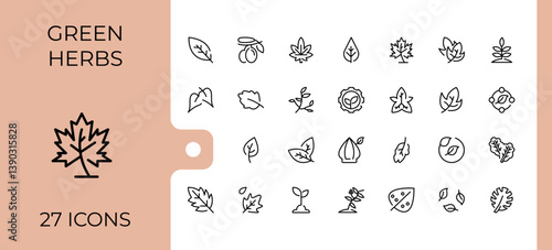 Leaves line icon set. Contain linear sign ecology, natural, tree, plant, eco and more. Collection for mobile and web apps. Leaf icon set. Vector illustration.