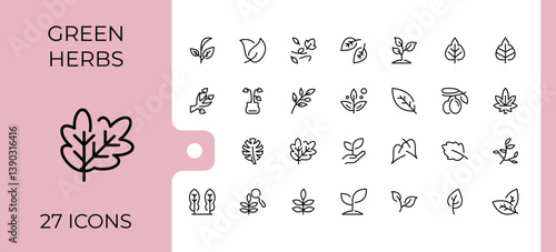 Leaves line icon set. Contain linear sign ecology, natural, tree, plant, eco and more. Collection for mobile and web apps. Leaf icon set. Vector illustration.