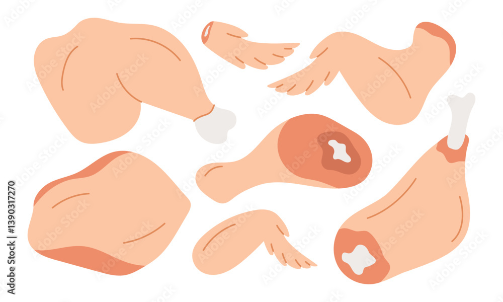 Chicken raw meat. Set of chicken meat parts, breast, fillet, thigh, drumstick. Chicken raw meat. Set of chicken meat parts, breast, fillet, thigh, drumstick.