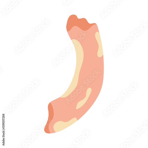 Chicken neck, raw poultry meat, meat, food, cooking ingredients. Vector illustration.