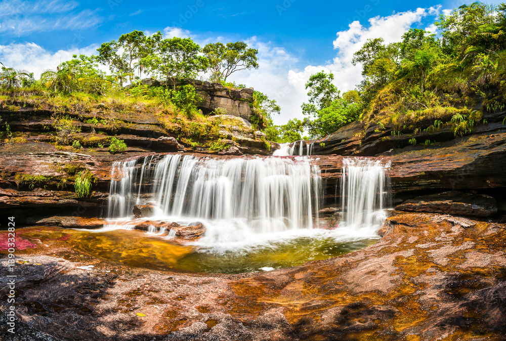 Obraz premium Caño Cristales: The River of Five Colors