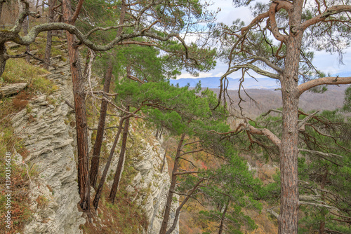 A rocky hillside with trees and a mountain in the background
