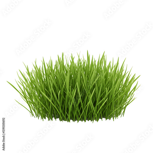 small surface of grass isolated on white background 