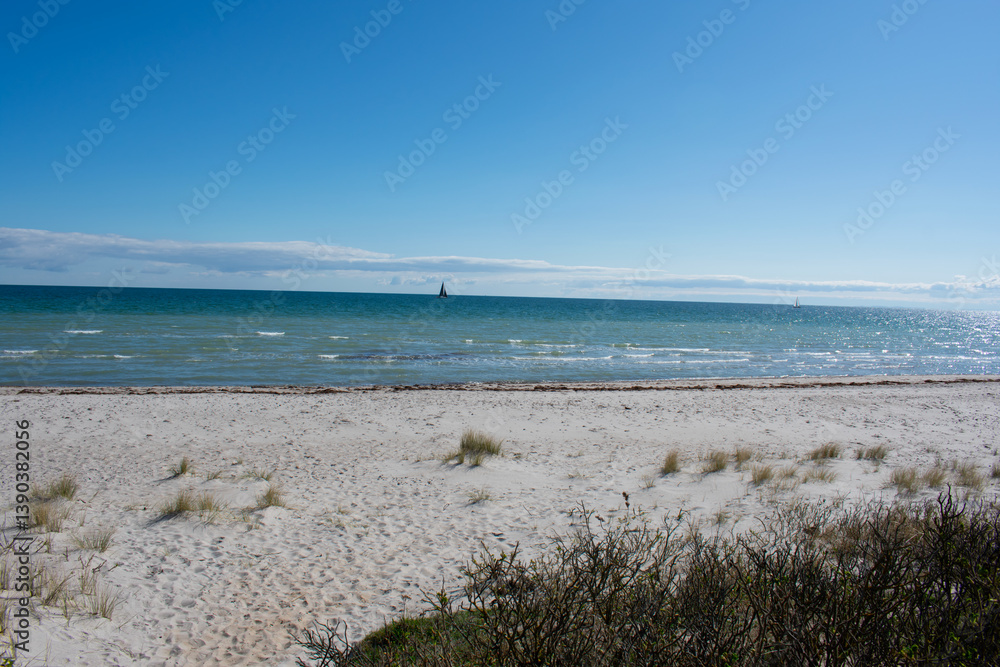 Obraz premium Beach in the morning. Sandy beach with low plants. Sea water glitters silver in the sun. Bright sunny day. Baltic Sea in spring.
