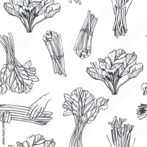 Wallpaper Mural Hand-drawn rhubarb set. Vector seamless pattern.   Torontodigital.ca