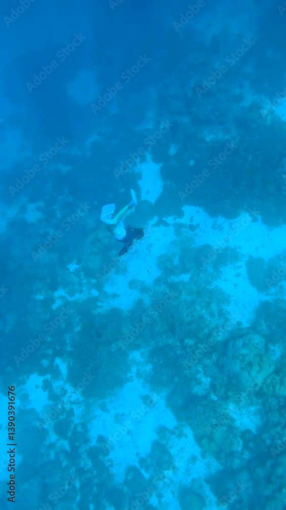 A young freediver deep swims underwater in the Maldives, exploring coral reefs and marine life. The scene features a mix of coral formations and blue water. A young freediver deep swims underwater in the Maldives, exploring coral reefs and marine life. The scene features a mix of coral formations and blue water.