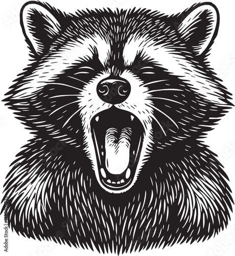yawning raccoon