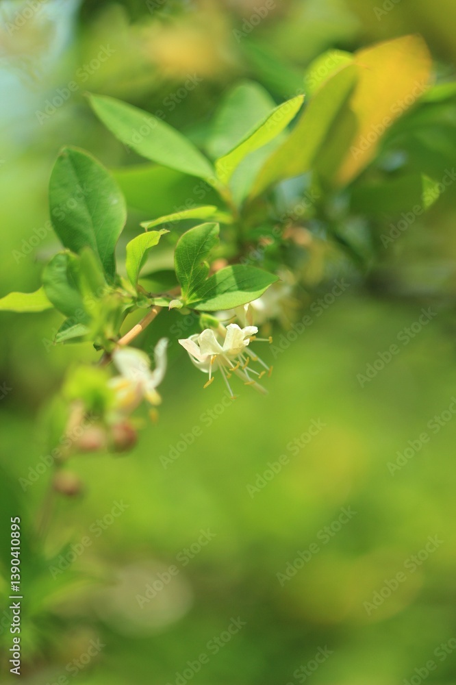 green leaves on a green background green leaves on a green background