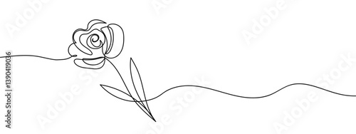 Continuous lines, easy rose lines, decorate cards line art vector illustration editable stroke.