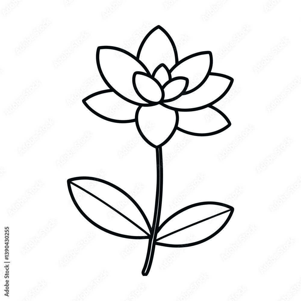 Fototapeta premium jade plant flower line art vector art illustration