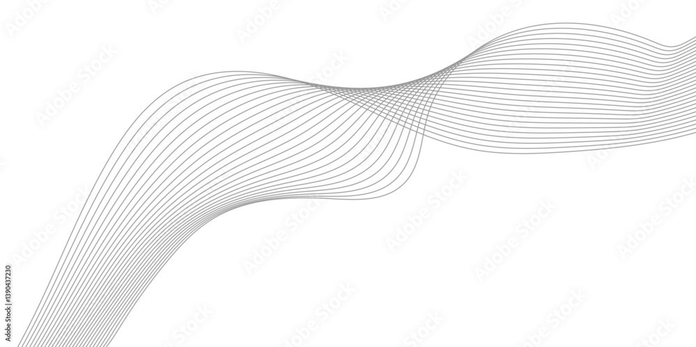 Fototapeta premium Abstract Curved Black and White Line Wave Background