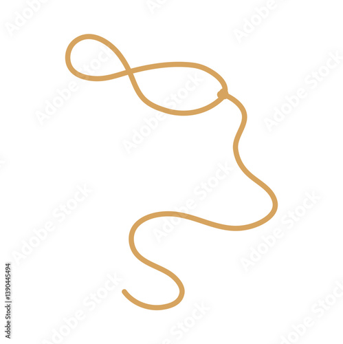 Lasso rope. Vector illustration.