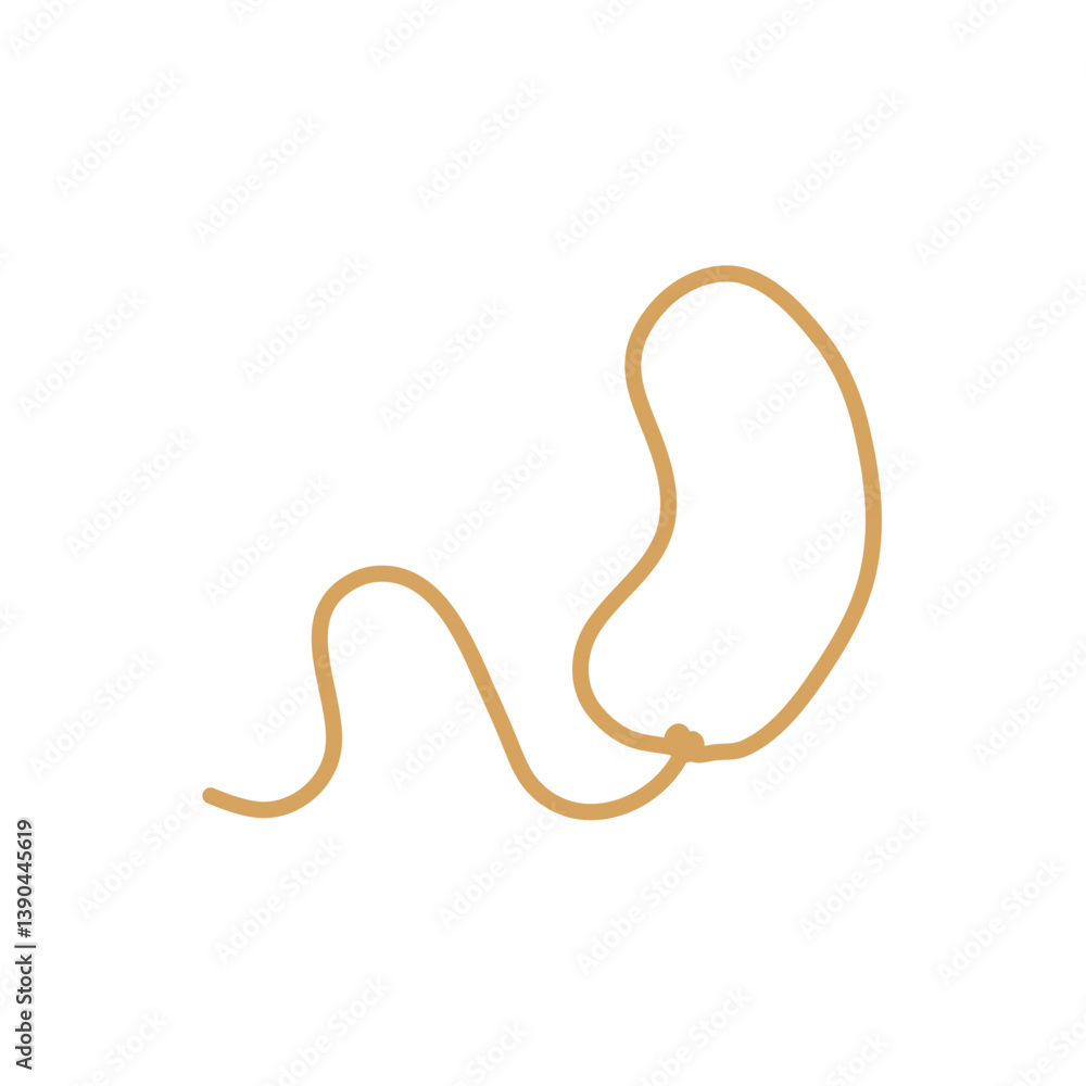 Lasso rope. Vector illustration. Lasso rope. Vector illustration.