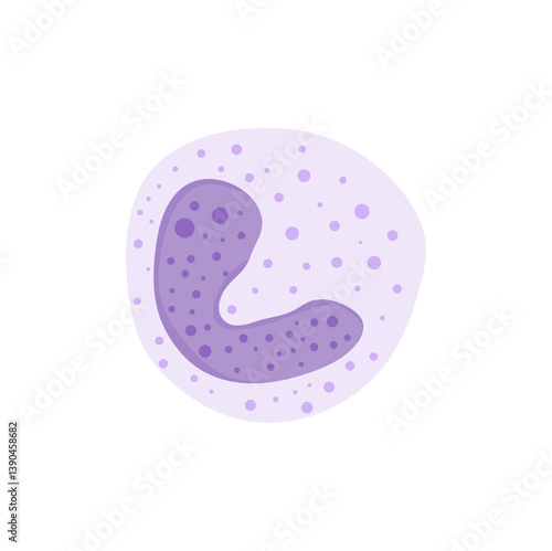 Blood cells leukocytes