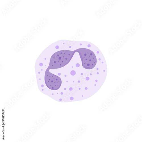 Blood cells leukocytes
