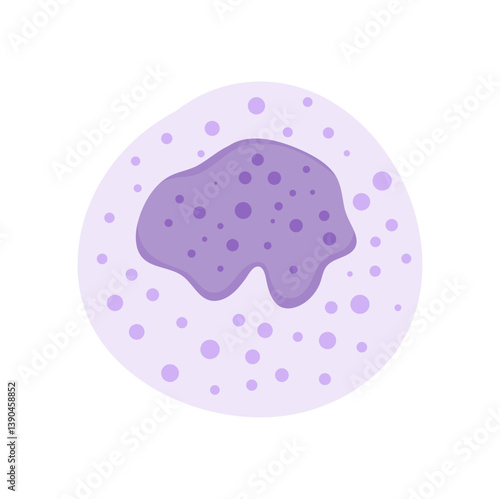 Blood cells leukocytes