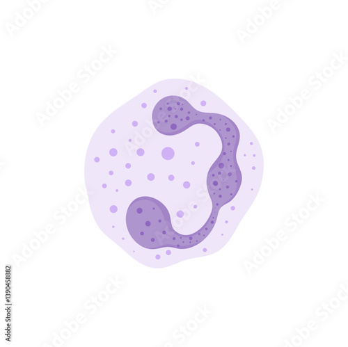 Blood cells leukocytes