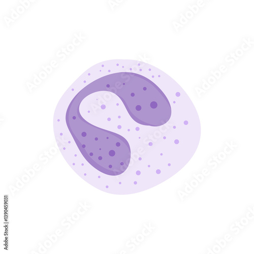 Blood cells leukocytes