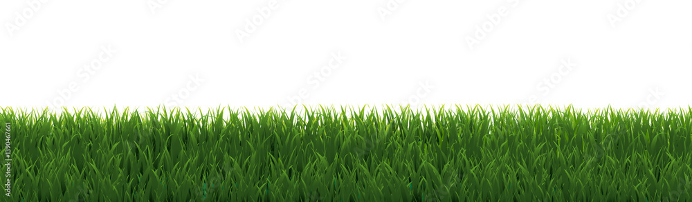 Obraz premium Green Grass Border And Isolated White Background
