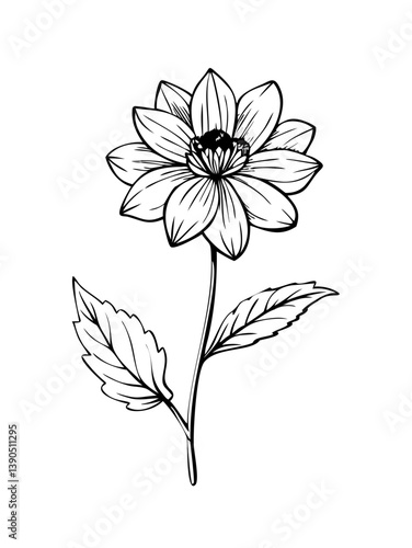 Ultimate Line Art SVG Collection – Minimal, Abstract & Boho Designs