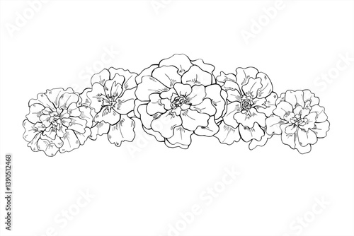 Hand drawn monochrome marigold flowers garland vector illustration painted by black inks. Blooming tagetes plant line art sketch. Floral border for mother day cards, Easter decor, summer invitation