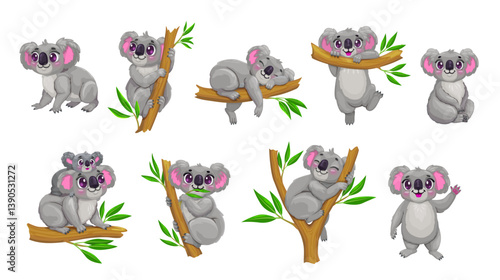 Cartoon cute koala bear characters set. Funny australian bear animals on tree branches. Happy gray koala characters eating eucalyptus leaves, sleeping and waving paw, carrying baby on back and resting