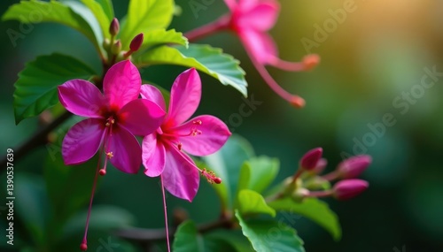 Vibrant fuchsia blossoms, intricate leafy details, summer, print, stylish