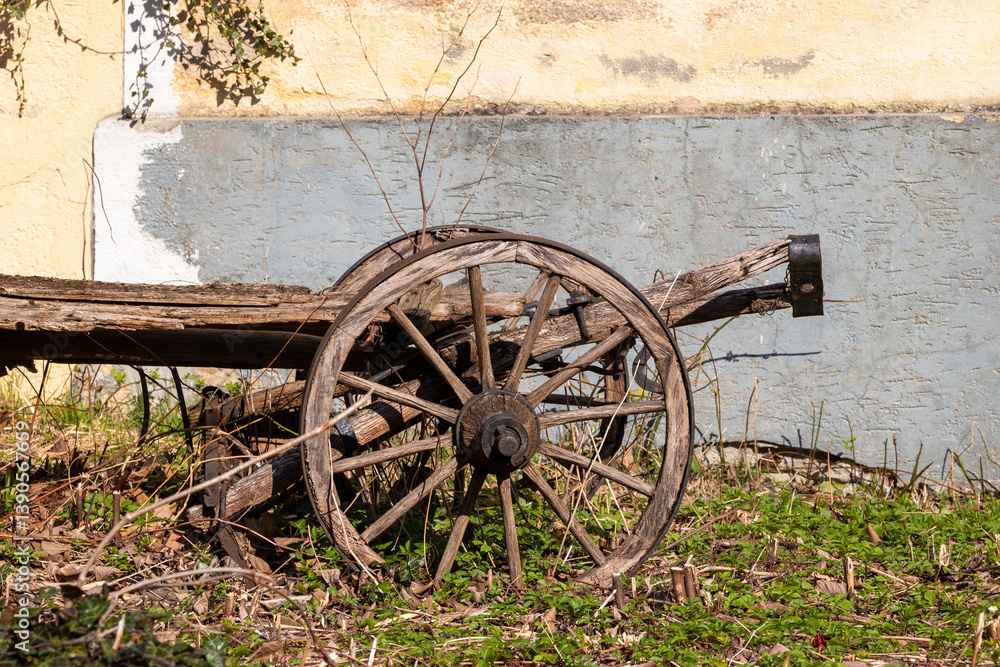 Old wooden cart in early spring overgrown with young ground vegetation.. Old wooden cart in early spring overgrown with young ground vegetation..