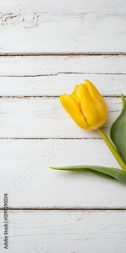 Obraz na płótnie Yellow tulip flower on white wooden table background. Mothers Day. w salonie