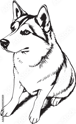 Husky dog. Hand drawn vector illustration