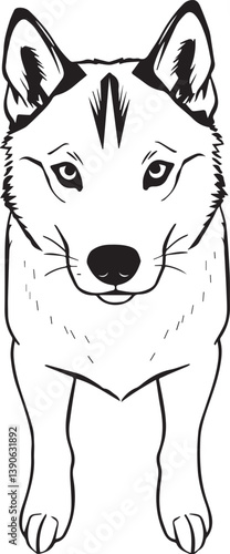 Husky dog. Hand drawn vector illustration