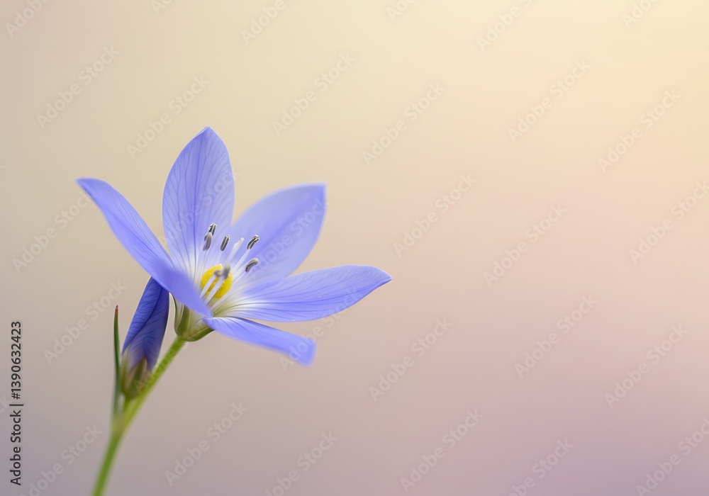 Naklejka premium Blue beautiful flower on a beautiful toned blurred background
