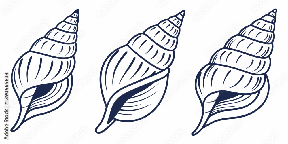 Vector Line Art Illustration of Three Conch Shells Seashells Marine Life Ocean Beach Nautical Decorative Design Elements Simple Elegant Minimalist Style Graphics Artwork Vector Line Art Illustration of Three Conch Shells Seashells Marine Life Ocean Beach Nautical Decorative Design Elements Simple Elegant Minimalist Style Graphics Artwork