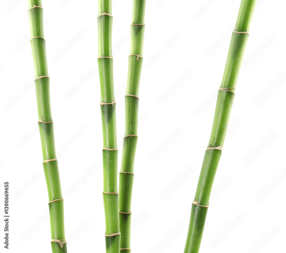 Fototapeta premium Beautiful green bamboo stems isolated on white