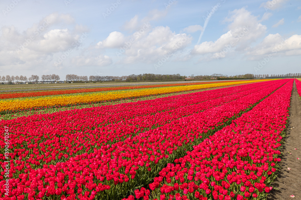 Niederlande Niederlande