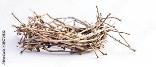 Obraz na płótnie Nest made of twigs on white background w salonie