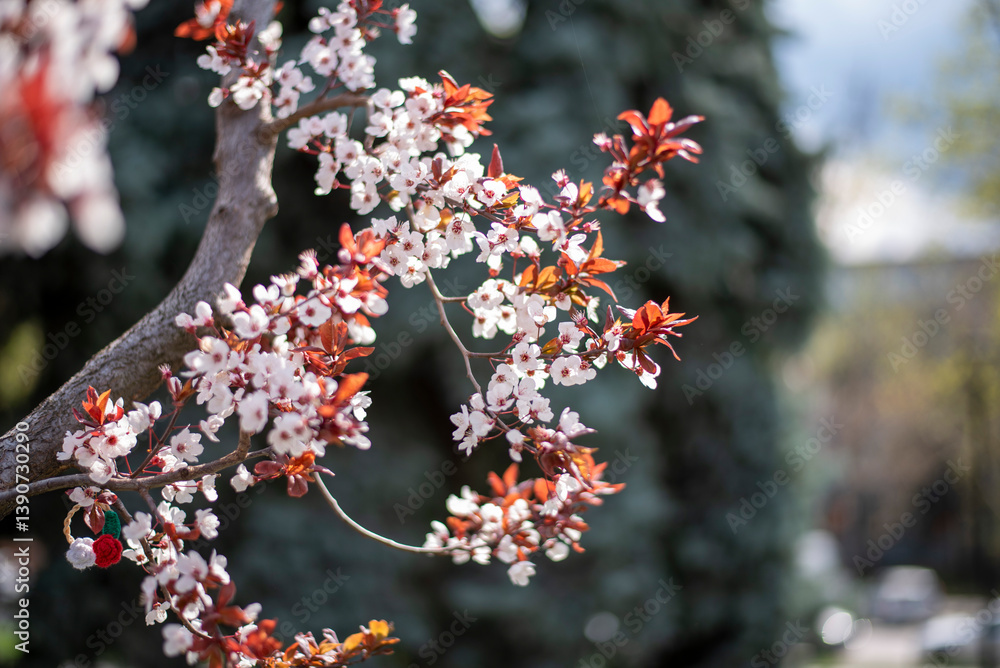Spring Blossoming Branches with White Flowers on Soft Blurred Background
