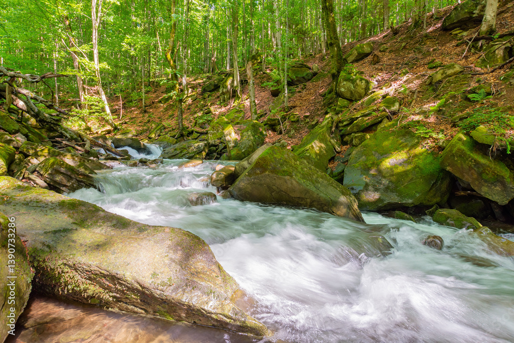 landscape with river in the beech forest. green environment. wild water stream among mossy rocks on a sunny day. beautiful view. vacation in carpathian woodland