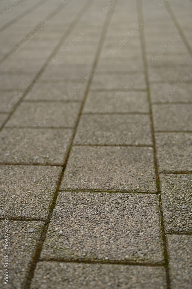 Obraz premium light gray paving stones arranged in a uniform pattern. Minimalist urban surface with clean geometric lines, suitable for backgrounds and architectural themes.