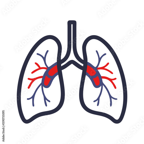 Lungs illustration with circulatory details in bold colors  