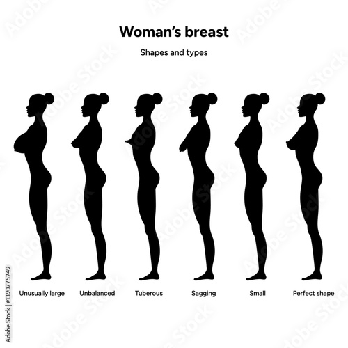 Women’s breast anatomy. Medical female diagram size, form, shapes and types