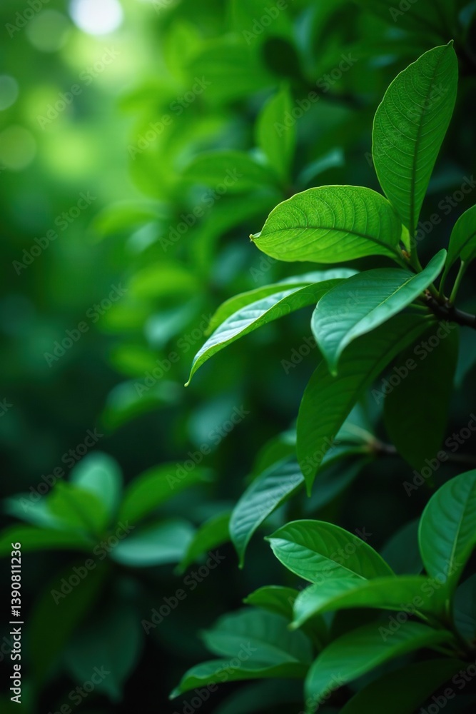 Tropical green leaves background on tree branches, lush foliage, botanical backdrop, tropical, wallpaper Tropical green leaves background on tree branches, lush foliage, botanical backdrop, tropical, wallpaper