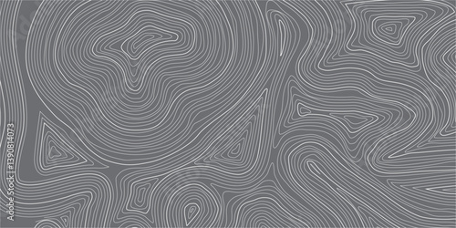 Abstract Contour Map Illustration with Gentle White Wave Lines: A Topographic-Inspired Vector Design Evoking Elevation, Depth, and Natural Terrain Forms