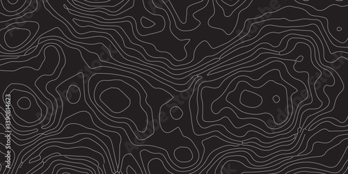 Modern Luxury Abstract Topographic Illustration with Graceful White Wave Lines on a Rich Black Surface, Created for Stylish Graphic Design and Sophisticated Art Concepts