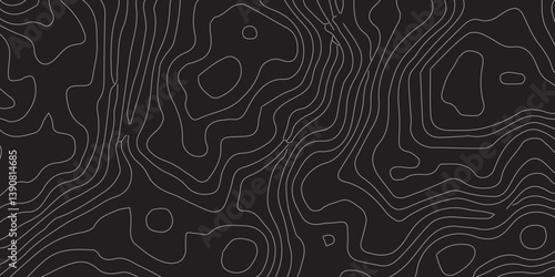 Modern Luxury Abstract Topographic Illustration with Graceful White Wave Lines on a Rich Black Surface, Created for Stylish Graphic Design and Sophisticated Art Concepts