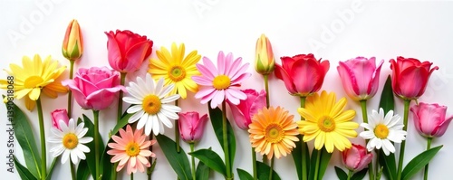 Various colorful flowers including roses, daisies, and tulips arranged beautifully on a clean white background,  beautiful,  set