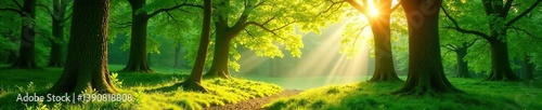 Sunlight filtering through lush green trees in a vibrant spring forest,  nature,  sun
